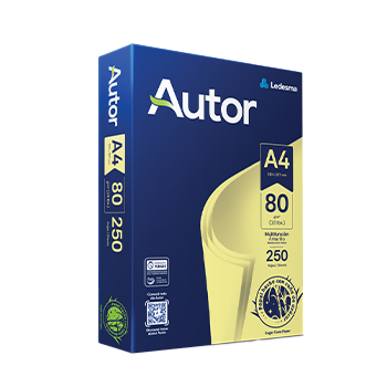 RESMA AUTOR A4  COLOR X 250 HOJAS